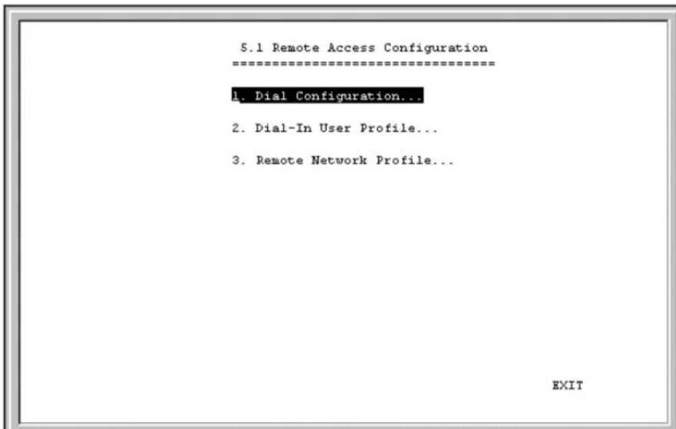 D-LINK DI-206 - Dial-Out Network Connections - 1