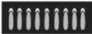 Summit RGH24RSS - CONVERT TO LP GAS (or convert back to natural gas from LP) - 2