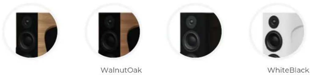 Morel SUB-10X - Audio Excellence - 1