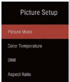 Picture Setup Picture Mode Color Temperature DNR Aspect Ratio