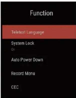 Function Teletext Language System Lock On Auto Power Down Record Menu CEC