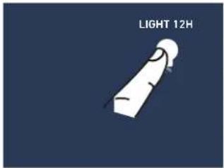 LIGHT 12H