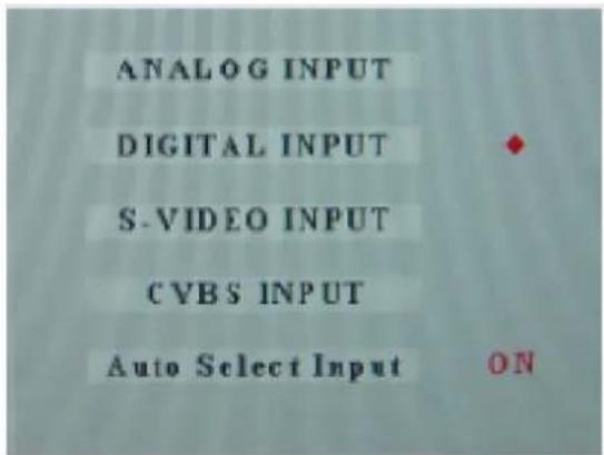 ANALOG INPUT DIGITAL INPUT S-VIDEO INPUT CVBS INPUT Auto Select Input ON