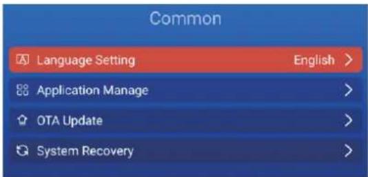 Common Language Setting English > Application Manage > OTA Update > System Recovery >