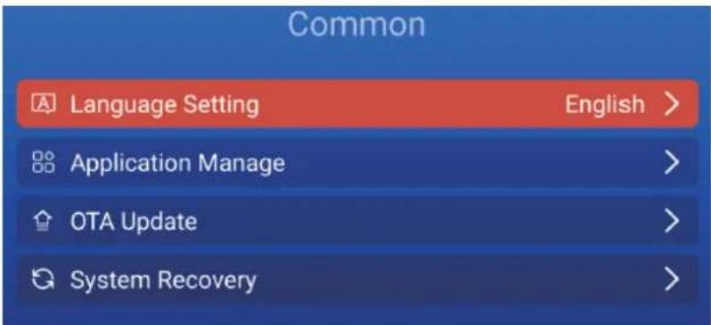 Common Language Setting English > Application Manage > OTA Update > System Recovery >