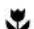 BeefEater BS26010 - IMPORTANT - 1