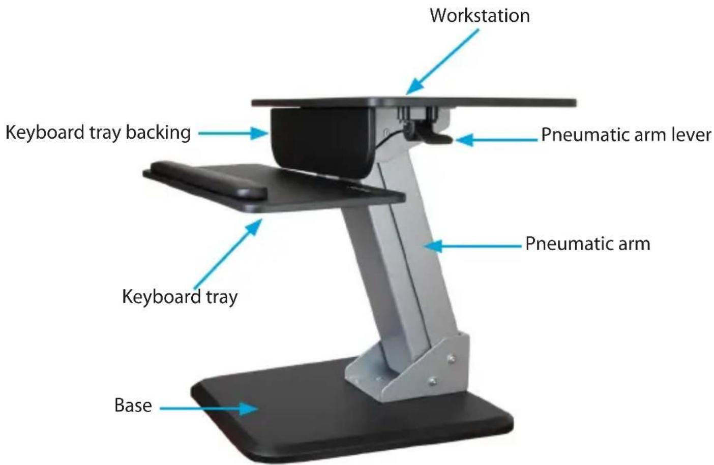 StarTech.com BNDSTSDUAL - Product diagram - 2