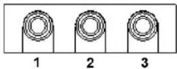 Advantech ARK-2230L-U0A2E - Audio Connector - 1