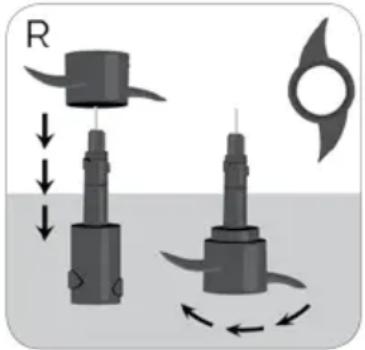 R