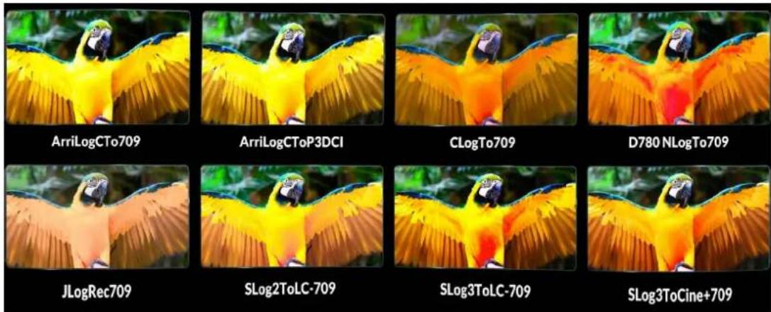 Delvcam DELV-2LCD7-4K - - Camera Log - 1