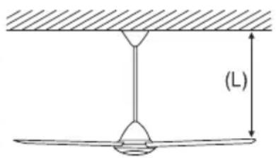 (L)