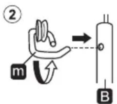② m B
