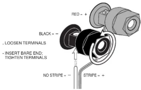 INFINITY Alpha 25ES - WIRING THE SYSTEM - 1