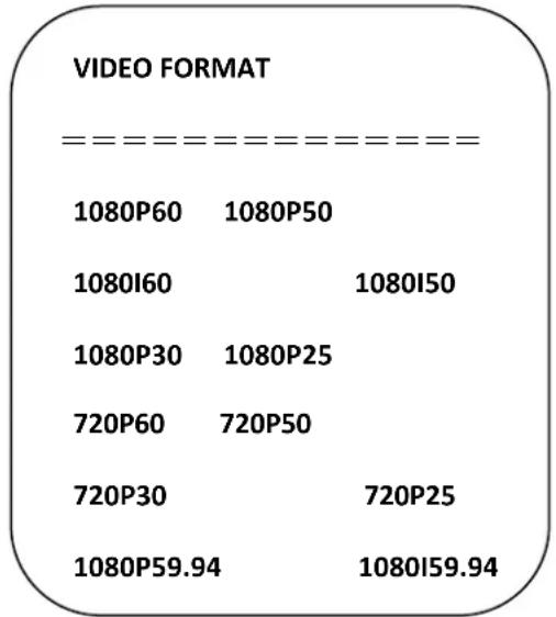 Alfatron ALF-20X-SD-TC - Video format - 1
