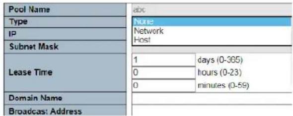 Pool Name Type IP Subnet Mask Lease Time Domain Name Broadcast: Address abc None Network Host 1 days (0-305) 0 hours (0-23) 0 minutes (0-59)