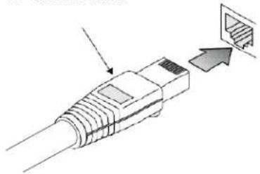 Vigitron Vi30210 - Ethernet Cabling - 1