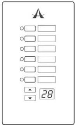 A 28