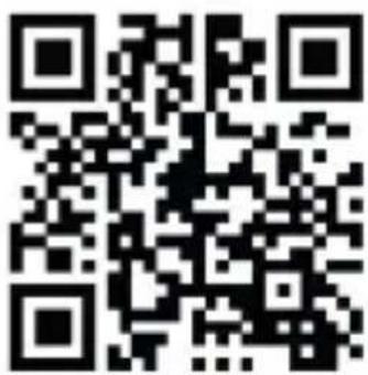 Rexing RH2-3 - Free Gift! - 2