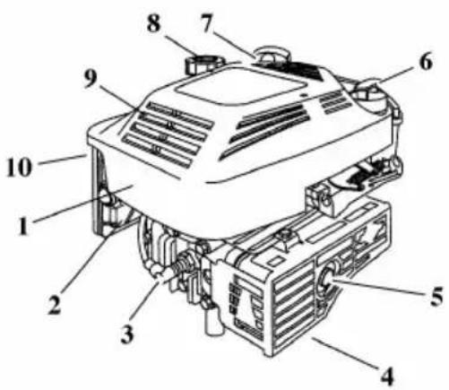 Hayter RANGER 48 PUSH - ENGINE - 1