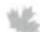 Radial Engineering 4-Play - RADIAL ENGINEERING 3 YEAR TRANSFERABLE WARRANTY - 5