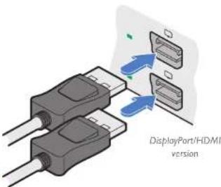 DisplayPort/HDMI version