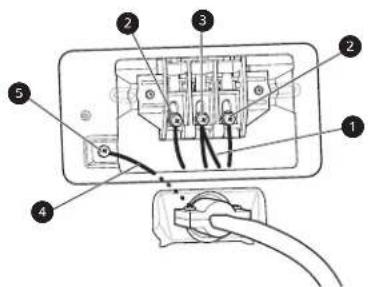 Diagram of an electrical socket with labeled components including power, socket, and socket terminals