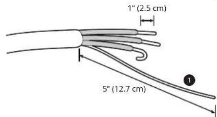 1" (2.5 cm) 5" (12.7 cm)