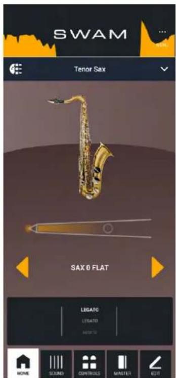 Audio Modeling SWAM Flutes Upgrade - iPhone - 1