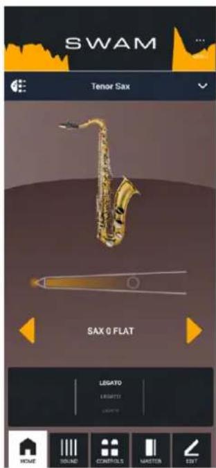 Audio Modeling SWAM Flutes Upgrade - Editing - 1