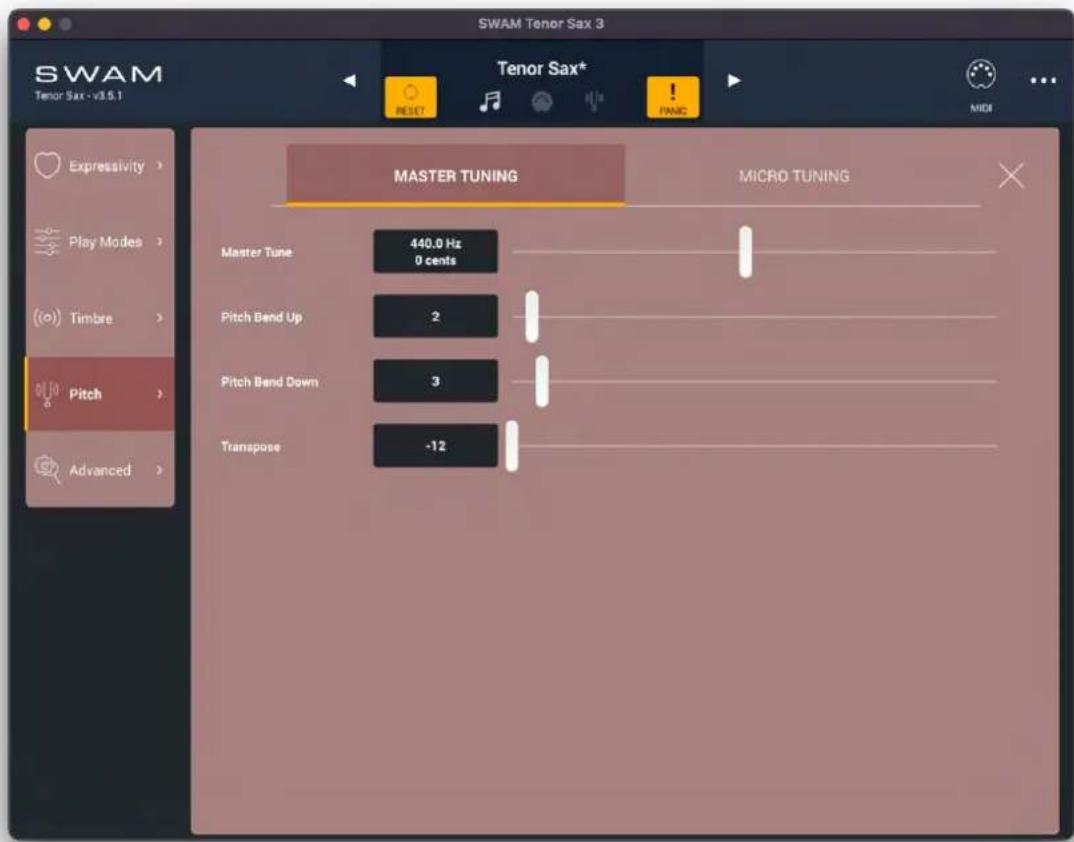 Audio Modeling SWAM Flutes Upgrade - Master Tuning - 1