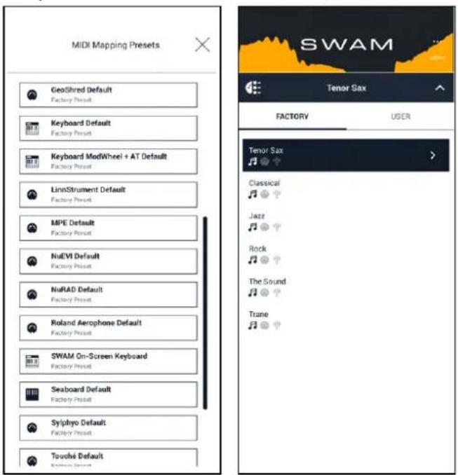 Audio Modeling SWAM Flutes Upgrade - Getting Started - 4