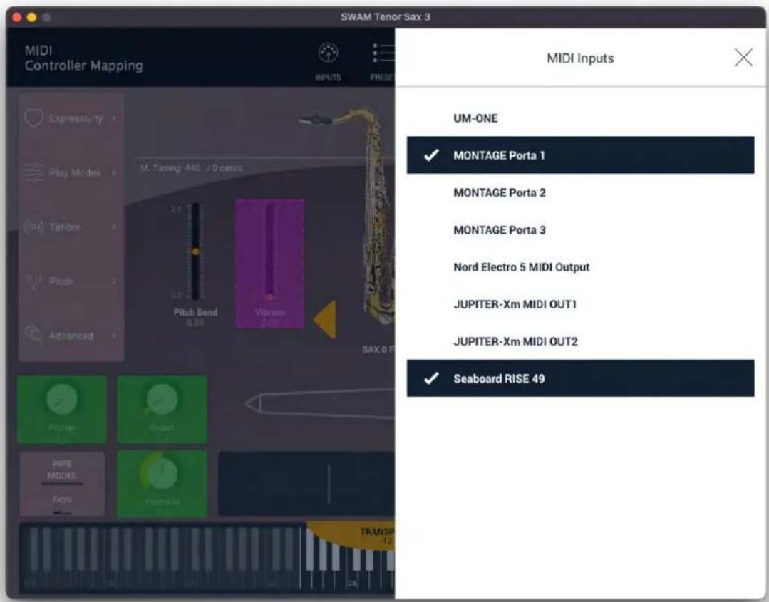 Audio Modeling SWAM Flutes Upgrade - MIDI Inputs quick access - 3
