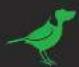 BirdDog Multiview Lite - 4