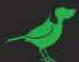 BirdDog Multiview Lite - 8