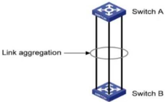 AIRLIVE WEB-10TX800 - Illustration - 1
