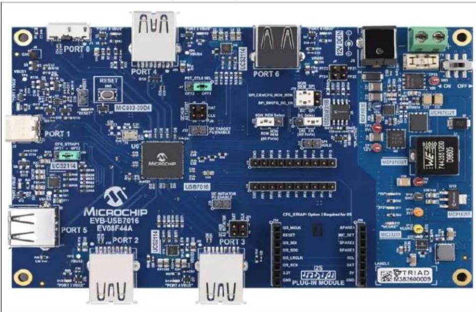 Microchip USB7016 - HARDWARE CONFIGURATION OPTIONS - 1