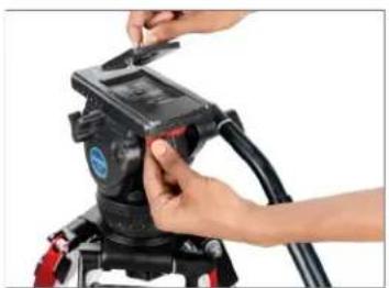 Proaim P-LLBT-100 - 100mm Bowl Baby Camera Tripod Stand Setup - 17