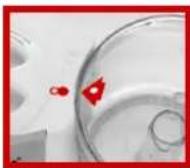 Arzum AR144 - 7-Blender - 6