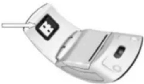 Piranha Aigle Z Type - Pillerin Yerleştirilmesi - 3