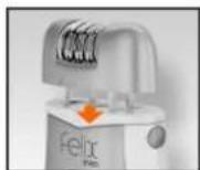 Felix Even - EPİLASYON BAŞLIĞININ TEMİZLENMESİ - 5