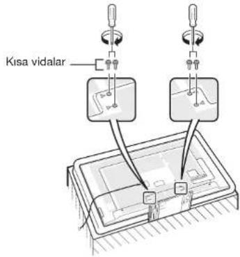 Kisa vidalar
