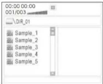 00:00 00:00 001/003 DIR_01 Sample_1 Sample_2 Sample_3 Sample_4 Sample_5