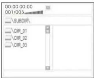 00:00 00:00 001/003 SUBDIR\ DIR_01 DIR_02 DIR_03