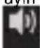TRIDENT W-T5 - AYARLAR - 6
