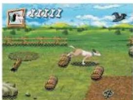 GoldMaster DVC-525 - Find the Way - 1