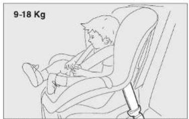 9-18 Kg