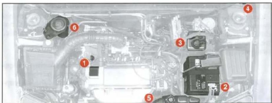 FIAT Albea (2005) - SEVIYE KONTROLLERİ - 1