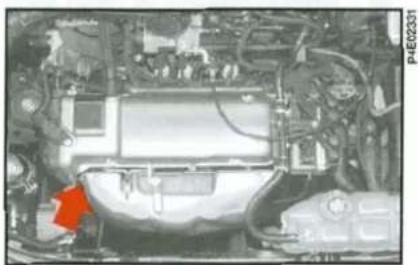 FIAT Palio (2003) - MOTOR KOD NUMARASI şekil 2-3-4 - 1