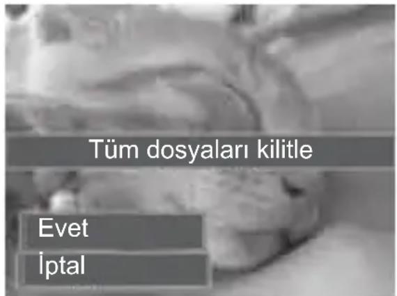 Tüm dosyaları kilitle Evet İptal