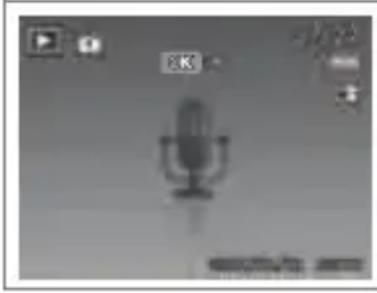 GRUNDIG GSC 530 - Tekli Gezinme Modunda Görüntüleme - 3